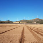 Fincas Albagasat Agricultura Biodinámica