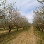 Fincas Albagasat Agricultura Biodinámica