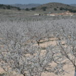 Fincas Albagasat Agricultura Biodinámica