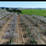 Fincas Albagasat Agricultura Biodinámica