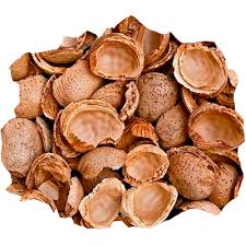 ALMOND SHELL >30 mm