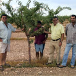 Fincas Albagasat Agricultura Biodinámica