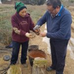 Fincas Albagasat Agricultura Biodinámica