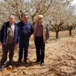 Fincas Albagasat Agricultura Biodinámica