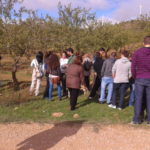 Fincas Albagasat Agricultura Biodinámica