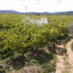 Fincas Albagasat Agricultura Biodinámica