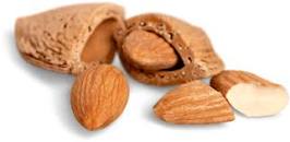 ALMOND SPLIT 14mm